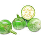 10 KERMIT EGGPLANT Green White Thai Solanum Melongena Fruit Vegetable Seeds