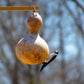 20 BIRDHOUSE GOURD (Hard Shelled Gourd / Calabash) Lagenaria Siceraria Vine Seeds