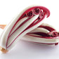 100 RADICCHIO DI TREVISO Radicchio Rose Vegetable Seeds