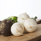 500 Hailstone WHITE GLOBE RADISH Raphanus Sativus Vegetable Seeds