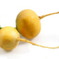 1000 GOLDEN BALL TURNIP Heirloom Yellow Brassica Rapa Root Vegetable Seeds