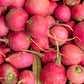 2000 CRIMSON GIANT RADISH Raphanus Sativus Vegetable Seeds
