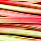 25 GLASKINS PERPETUAL RHUBARB (Pieplant) Rheum Rhabarbarum Fruit Vegetable Seeds