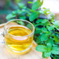 500 SPEARMINT (English Mint) Mentha Spicata Herb Flower Seeds