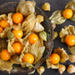 50 PINEAPPLE TOMATILLO Yellow Ground Cherry Physalis Ixocarpa Fruit Vine Seeds