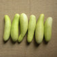 50 WHITE WONDER CUCUMBER Fruit Cucumis Sativus Seeds