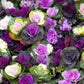 60 ORNAMENTAL KALE MIXED Colors Brassica Oleracea Flower Seeds
