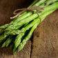 100 MARY WASHINGTON ASPARAGUS Officinalis Perennial Vegetable Seeds