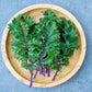 500 RED RUSSIAN KALE Brassica Oleracea Vegetable Seeds