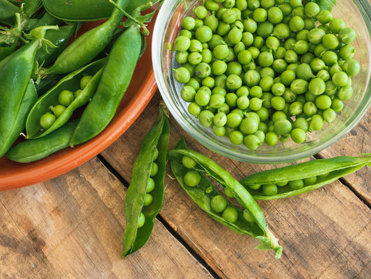 50 Early FROSTY GARDEN PEA English Shelling Pisum Sativum Vegetable Seeds
