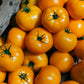 150 GOLDEN JUBILEE TOMATO Yellow Lycopersicon Lycopersicum Fruit Vegetable Seeds