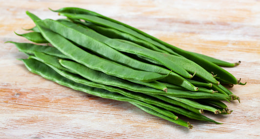 50 ROMA Italian GREEN BEAN Phaseolus Vulgaris Vegetable Seeds