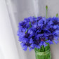 1000 Tall Blue BACHELOR'S BUTTON / CORNFLOWER Centaurea Cyanus Flower Seeds
