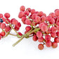 25 SZECHUAN PEPPER Peppercorn Sichuan Szechwan Zanthoxylum Bungeanum Spice Seeds