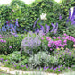 100 ROCKET LARKSPUR DELPHINIUM Consolida Giant Imperial Mixed Colors Flower Seeds