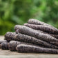 300 BLACK NEBULA CARROT Daucus Carota Root Vegetable Seeds