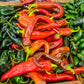 300 ANAHEIM CHILI PEPPER (New Mexico Chili Pepper) Capsicum Annuum Vegetable Seeds