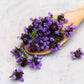 100 HEAL ALL Self Heal Prunella Vulgaris Purple Herb Flower Seeds