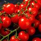300 SMALL Red CHERRY TOMATO Lycopersicon Lycopersicum Fruit Vegetable Seeds