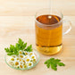 300 FEVERFEW Tanacetum Parthenium Herb Flower Seeds