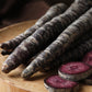 300 BLACK NEBULA CARROT Daucus Carota Root Vegetable Seeds