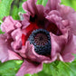 1000 MIXED Colors ORIENTAL POPPY Papaver Orientale Flower Seeds