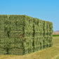 100 CIMARRON ALFALFA Medicago Sativa Ground Cover Forage Purple Flower Seeds