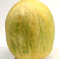 30 CRENSHAW MELON ( Muskmelon / Winter Melon / Cranshaw ) Cucumis Melo Fruit Seeds