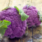 25 PURPLE CAULIFLOWER Violet Queen Brassica Oleracea Botrytis Vegetable Seeds
