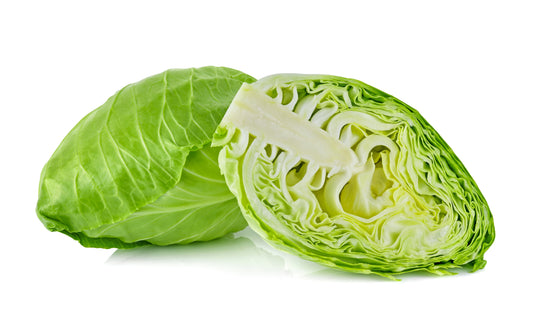 500 Early JERSEY WAKEFIELD CABBAGE Brassica Oleracea Capitata Vegetable Seeds
