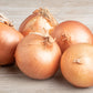 400 Texas EARLY GRANO ONION Large Sweet Yellow Allium Cepa Vegetable Seeds