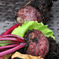 250 PIATTA D'EGITTO BEET Italian Heirloom Beta Vulgaris Cicla Vegetable Seeds