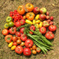 40 BANANA LEGS TOMATO Heirloom Yellow Lycopersicon Fruit Vegetable Seeds