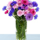 1000 Mixed BACHELORS BUTTON CORNFLOWER Centaurea Seeds