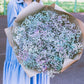 1000 White BABY'S BREATH 'Covent Garden' Gypsophila Elegans Flower Seeds