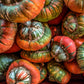 10 American TURKS TURBAN SQUASH Gourd Cucurbita Maxima Vine Seeds