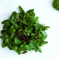 250 SIAM QUEEN Thai BASIL Ocimum Thyrsiflora Herb Flower Seeds