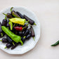 40 Organic PURPLE JALAPENO PEPPER Capsicum Annuum Hot Mexican Chili Vegetable Seeds
