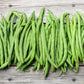 50 BURPEE STRINGLESS Green Pod BEAN French Phaseolus Vulgaris Vegetable Seeds