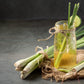 100 LEMONGRASS East Indian Lemon Grass Fragrant Ornamental Edible Cymbopogon Flexuosus Seeds