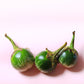 10 KERMIT EGGPLANT Green White Thai Solanum Melongena Fruit Vegetable Seeds
