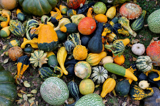 30 MIXED GOURD Lagenaria Siceraria Seeds