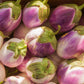 50 Organic Italian EGGPLANT ROSA BIANCA Solanum Melongena Esculentum Vegetable Seeds