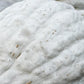 30 BLUE HUBBARD SQUASH New England Buttercup Cucurbita Pepo Vegetable Seeds