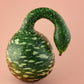 15 GOOSENECK / Bottle / SWAN GOURD Lagenaria Siceraria Vine Seeds
