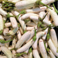 40 White Star FINGER FRUIT EGGPLANT Solanum Melongena Aubergine Fruit Vegetable Seeds