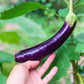 1000 LONG PURPLE EGGPLANT Solanum Melongena Esculentum Vegetable Seeds