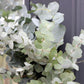 20 SILVER DROP EUCALYPTUS Gunnii Cider Gum Silver Blue Foliage Florist Tree Seeds