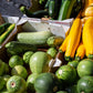 35 Sweet TATUME SQUASH Cucurbita Pepo Calabash Calabacita Mexican Zucchini Seeds