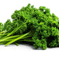 1500 TRIPLE CURLED PARSLEY Petroselinum Hortensis Herb Vegetable Seeds